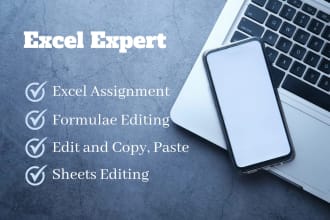 create and edit excel formula, sheet, data entry assignment