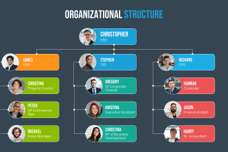 design professional org charts or organizational charts within 2 hrs