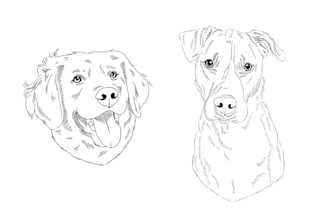 draw a line art illustration from a photo of your pet
