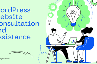 provide professional wordpress website consultation and assistance