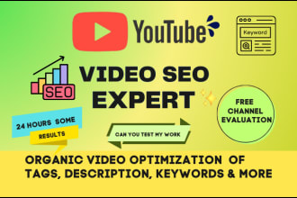 do youtube video SEO expert optimization and channel growth manager