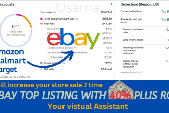 do hot selling dropshipping products to boost your ebay store sale 7 time