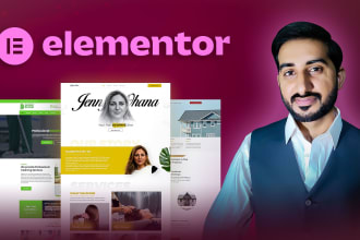 fix elementor issues, wordpress errors, and make custom changes