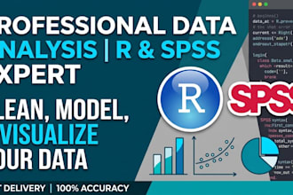 do statistical data analysis, data cleaning, and modeling in r and spss