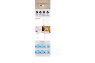 create simple figma or ai website designs