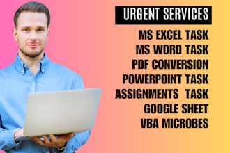 do perfect ms excel ,ms word , excel sheet and assignments projects