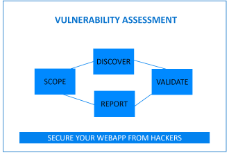 provide professional vulnerability assessment and report with mitigation plan