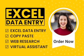do fastest excel data entry, copy paste, web research, and any data entry task
