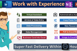 do fastest data entry in one day at low price
