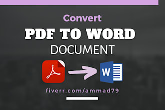 convert PDF to word and format your documents professionally