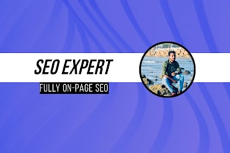professional onpage SEO optimization for google