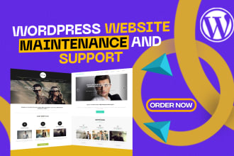 provide wordpress website maintenance and support