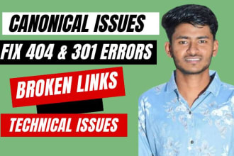 fix 404 errors, redirect errors, broken links, google search console errors fix