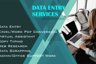 do fast data entry and admin support work