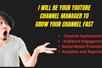 be your youtube channel growth manager to grow your channel