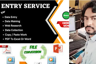 do data entry ms excel typing copy past and convert files