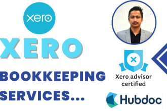 provide xero bookkeeping service for small business