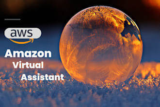 your amazon fba va or amazon fba virtual assistant, amazon seller central