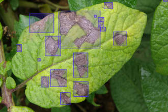 do image segmentation, masking, labeling, and bounding box for ai