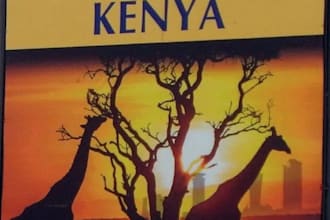 do anything for you in kenya and be your reliable assistant
