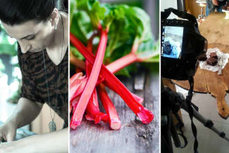 create stunning high resolution food photography