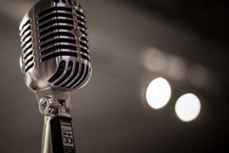 voiceover for you project