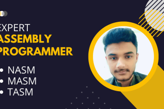 unlock the power of assembly language for your projects