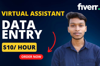 do any type of data entry, copy paste, excel data entry work