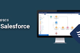 do salesforce development and data migration