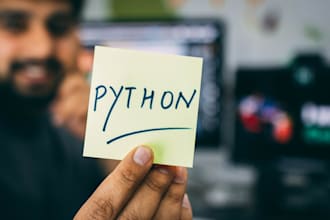 do python coding scripts and build minimalistic web interfaces