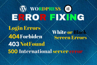 repair your website, bugs, errors, broken, server issue fix