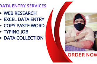 data entry, copy pest,in the low price