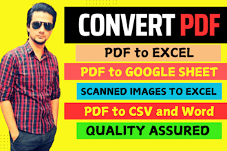 convert pdf to excel, scanned image to excel or google sheet and word