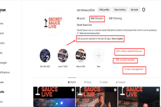 organically grow your instagram rapidly