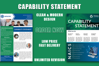 design professional and government capability statement with flyer
