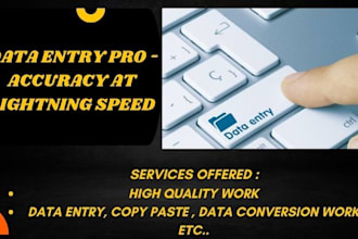 complete all data entry tasks precisely, and quickly with utmost satisfaction