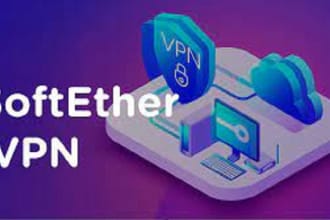 setup or fix your own softeither vpn server no static IP
