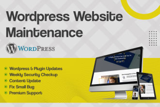 provide maintenance and support for your wordpress website