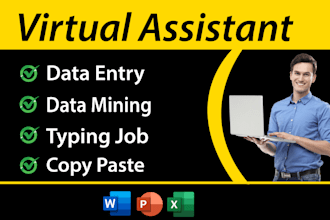 be your virtual assistant for data entry, data mining, copy paste, web research