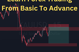 teach you from basic to advanced forex trading