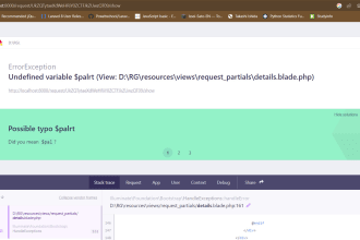 fix and resolve php bugs laravel bugs api issues laravel errors sql bugs