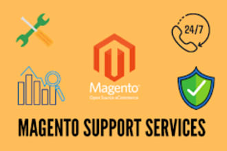 expert magento admin manage, customize, and optimize your online store