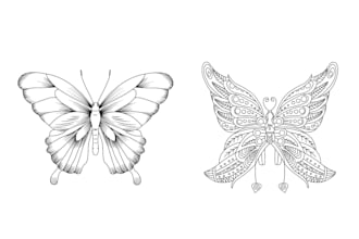 draw simple line art illustration for you within a hour