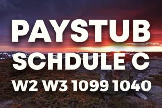 prepare paystub schedule c, 1099, 1040 tax form, w2 payroll