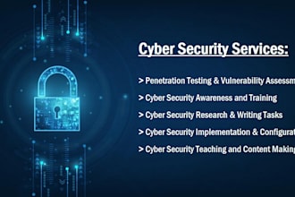be your cyber security consultant and provide cyber security services