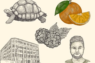 do hand draw illustration, detailed line art for you