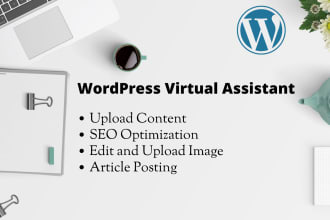 upload SEO content and blog post as your wordpress VA