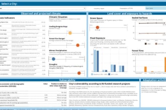 tableau dashboard expert and custom data visualizations