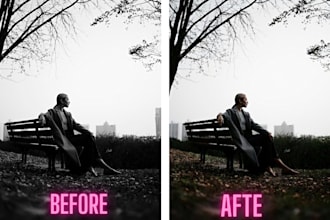 colorize black and white photo