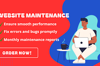 setup wordpress website maintenance, bugs, errors, and optimize performance